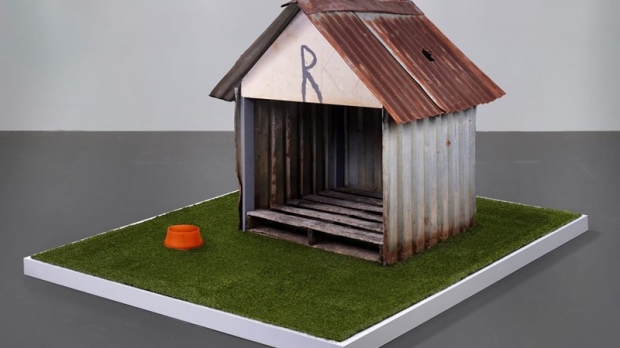 운석맞아 구멍 뚫린 ‘개집’ 경매나와 5300만원 낙찰