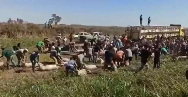 교통사고 부상자 따윈 나 몰라라... 도둑질에만 혈안된 주민들