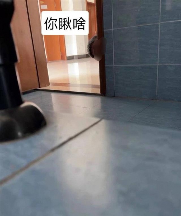 女화장실 빼꼼히 염탐한 男교수, 벌금 8만원 내고 훈방