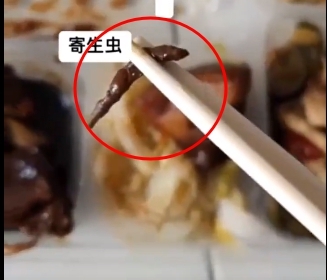 [여기는 중국] 中 정부가 배급한 격리자 도시락에 기생충이 ‘득실’