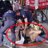 [대만은 지금] 대만 경찰들, 몸 날려 멧돼지 제압…한바탕 소동