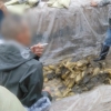 [여기는 중국] ‘알몸 배추 2탄’ 담배꽁초 배추 공장장에 역대급 벌금 부과