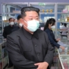 “소금물·버드나무잎으로 코로나 치료”…북한, 민간요법까지 동원