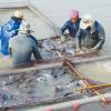 [대만은 지금] 정치보복?... 중국, 대만 물고기 수입금지 조치