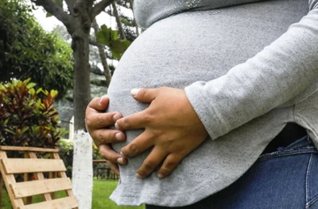 임신 4번인데 자녀 19명! “소방관 월급으론 못 키워... 도웁시다”