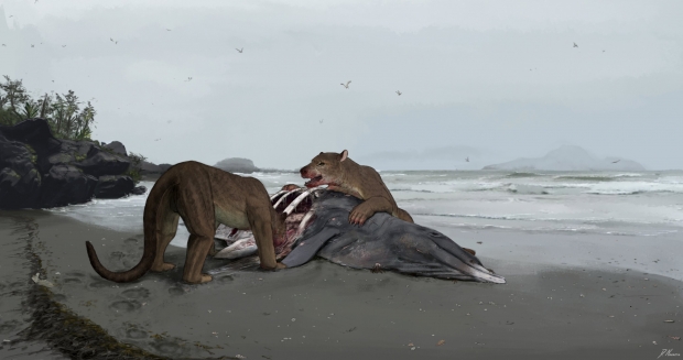 [핵잼 사이언스] 곰과 개를 섞어 놓은 신종? 거대 육식동물 화석 발견