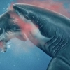 [핵잼 사이언스] ‘괴물 상어‘ 메갈로돈, 향유고래 머리도 뜯어먹었다