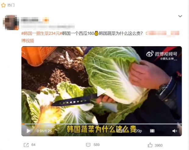 “한국은 채소값 왜 이렇게 비싸요?”…중국서 ‘한국 상추값 폭등’ 주목