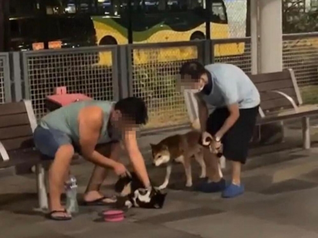 [여기는 중국] “내 개니까 내 맘대로?”..반려견 목졸라 죽인 잔혹한 30대男 검거