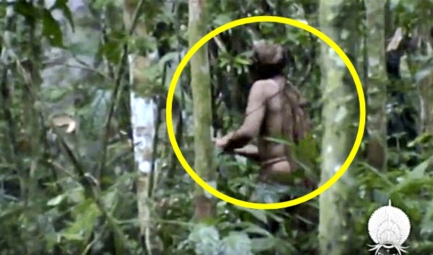 ‘세상에서 가장 외로운 男’ 26년 고립 아마존 원주민의 죽음 (영상) [월드피플+]