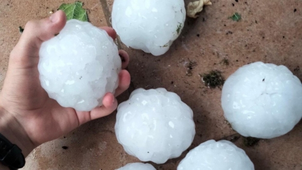 [포착] 어른 주먹만한 얼음이 두두둑...우박 맞은 영아 사망하기도