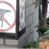 “중국인 아니라니까”…캐나다 백인 여성, 한인 식당 앞에 배설물 투척