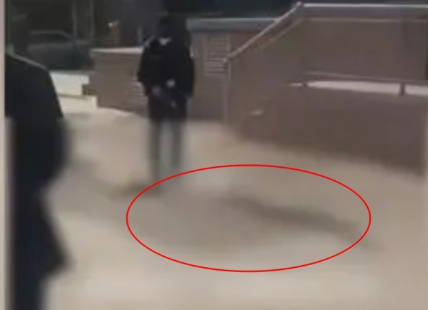 [여기는 중국] 마른하늘에 개 떨어진다? 50대 남성, 추락한 개에 맞아 현장 사망