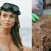 악어 삼킨 비단뱀 해부 장면 공개한 美 과학자의 또 다른 직업은?