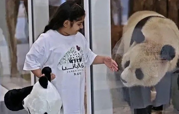 “판다도 월드컵 갔는데 中 대표팀은…” 최대 투자 중국, 탈락에 한탄