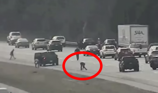 [영상] “하늘에서 돈이 내려와!”…美고속도로서 영화같은 ‘돈벼락’