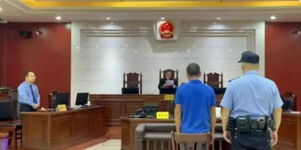 “나무 베었다고 징역형에 대국민 사과까지?” 중국 농장주, 과도한 형벌 논란