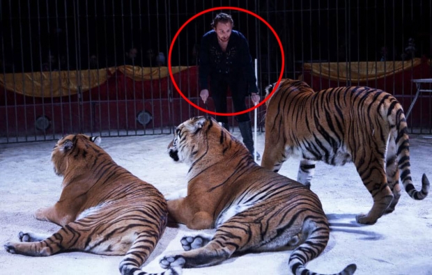 伊 서커스 조련사 호랑이에 물려…보호단체 “법으로 금지해야”