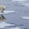 빙하 ‘최후의 날’ 온다…이대로 가면 21세기 내 83% 사라진다 [와우! 과학]