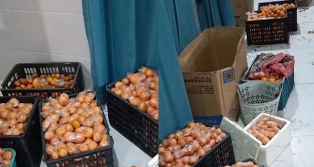 춘절 맞아 3년 만에 집 오는 딸 위해 귤 450㎏ 산 엄마의 사연 [월드피플+]