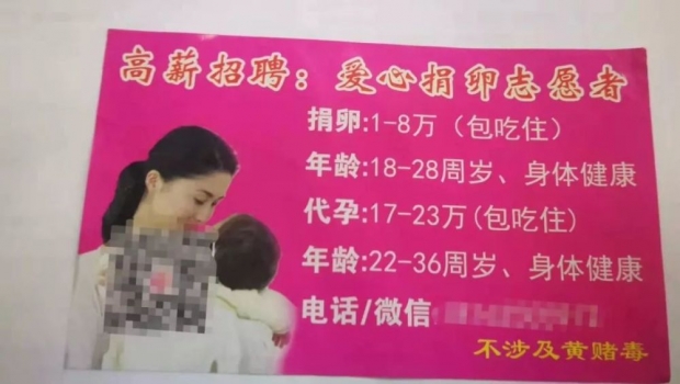 중국 산부인과에 ‘난자 기증’ 등 불법 광고물 도배…병원이 대리모 알선