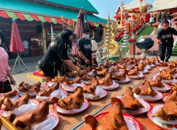로또 당첨 태국男, 불상 앞에 돼지머리 100개 봉헌 [여기는 동남아]