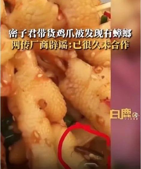 벌레는 덤? 中 생방송 중 양념 속 바퀴벌레 그대로 노출[여기는 중국]