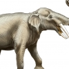 450만 년 전 미국에는 상아가 4개인 코끼리가 살았다 [와우! 과학]