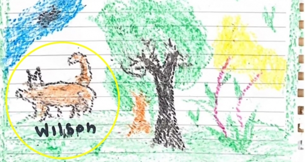 “실종된 수색견 찾아주세요”…구조된 아마존 어린이의 그림