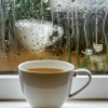 비 오는 날 커피가 더 맛있는 이유는…비올때 가볼만한 핫플레이스 카페 3곳 [숨여들다]