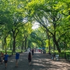 “도심 속 공원, 생물학적 나이 낮춘다…평균 2.5세 차이” [와우! 과학]