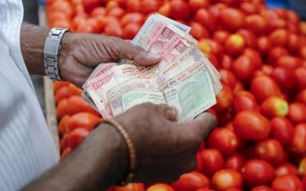 金보다 귀한 토마토?…가격 급등에 토마토 노린 강도 살인까지