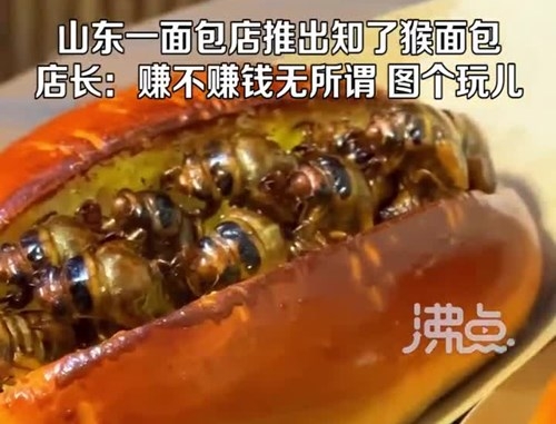 노랗게 구운 中 ‘황금매미 빵’…고단백질 덩어리 인기 [여기는 중국]