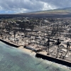 하와이 산불 사망자 93명…“실종자 1000명 달해” [포착]