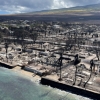 “제발 해변서 놀지마”…‘산불’ 하와이 주민들 관광객 노는 모습에 충격