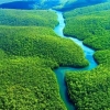 ‘지구 허파’ 아마존 불법 벌채 ‘꼼짝마’..숲 보존 위협 탐지하는 인공지능 개발