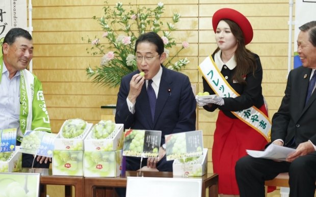 日 원전 오염수 방류 후 ‘기시다 지지율’ 올랐을까? [여기는 일본]