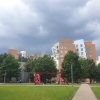 MIT에서 만난 세계적인 건축가 프랭크 게리…혁신적인 아이디어를 탄생시킨 연구 공간 ‘스타타 센터’ [노승완의 공간짓기]