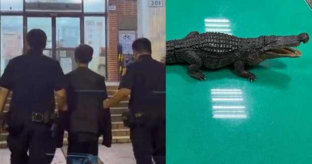 “악어가 나타났다”…관심받고자 가짜뉴스 살포한 대만 남성