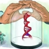 중국인만 노리는 ‘유전자 무기’ 나올까…中정보당국 “데이터 불법 수집” 주장[여기는 중국]