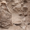 머리카락도 그대로…페루서 1000년 된 ‘어린이 미라’ 발견 [핵잼 사이언스]