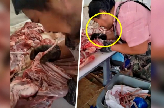 “역겨움 그 자체”…고양이꼬치·소변맥주 이어 ‘입으로 발라낸 양고기’ 논란[여기는 중국]