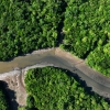 브라질 아마존 파괴 면적 전년 대비 64% 감소