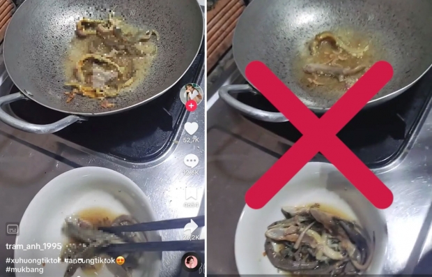 천식 치료 위해 아이에게 ‘새끼 도마뱀 튀김’ 먹이는 영상 논란 [여기는 베트남]