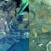 수조원 금은보화 가득…콜롬비아 ‘전설의 보물선’ 인양한다