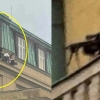 [포착] 총격범과 공포에 떠는 학생들…체코 대학서 최악 총기난사