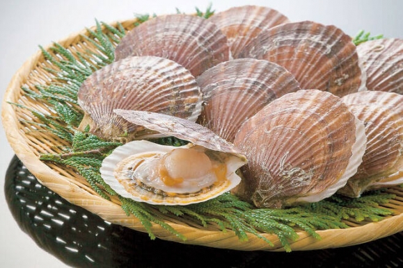 중국이 거부한 日 가리비, 결국 ‘이 나라’에 팔렸다 [여기는 일본]