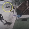 [영상] “가만히 서있는데…” 이스라엘군, 비무장 17세 소년 사살