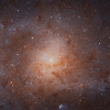 제임스 웹 망원경, 270만 광년 거리 ‘아기별’ 무더기 포착 [아하! 우주]