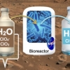 화성 지하에 있는 물, 지구 박테리아로 정수해 마신다 [아하! 우주]